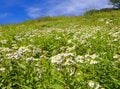 【9月の晴れ、どこに登る？】歩きごたえ抜群＆天空の五色沼「日光白根山」の画像005