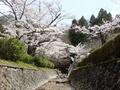 ゴールデンウィークには「ツツジ」が彩る、丹波「向山連山」 ユニーク岩たどる低山縦走＆「黒井城跡」見下す絶景レポート【兵庫県丹波市】の画像032