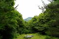 京都「駅近のパワースポット」5か所めぐり！「吉田神社」と穴場の大文字スポット「吉田山」＆最古「下鴨神社」ほか「出町柳ハイキング」レポの画像004