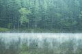 【初中級者向け・ロープウェイで行くベストルート vol.9】「北八ヶ岳ロープウェイ」でアクセスできる山 ～八ヶ岳 北横岳・縞枯山 編～の画像012