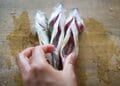 家族も喜ぶ「釣った魚をウマく持ち帰る方法」【3ステップで解説】鮮度維持のため「現場での処理＆保冷法」実践レポ！  実釣煮付け調理も！の画像002