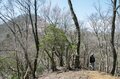 まだ間に合う「首都圏近郊のお花見登山ルート」GWにもおすすめな西丹沢・畦ヶ丸山の開花状況の画像007