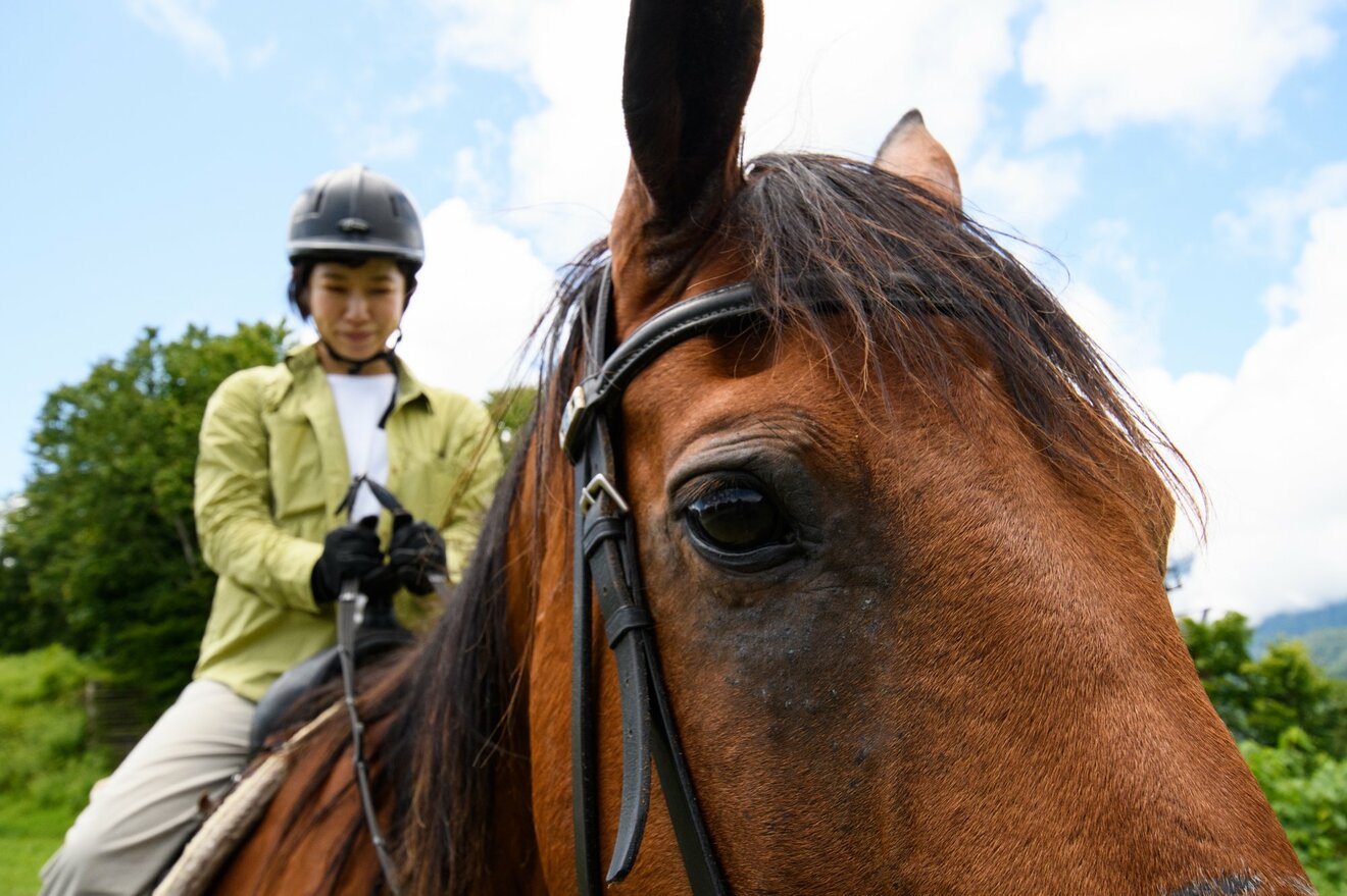 画像・写真：白馬の大人気スポット「白馬岩岳マウンテンリゾート」で絶景ホーストレッキング！ 新展望エリア「白馬ヒトトキノモリ」の こだわりカフェ
