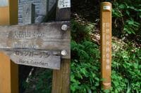 どっちに行くか！？  対決「週末の登山」首都圏版！「高尾山6号路」vs「御岳山ロックガーデン」涼感「ヒーリングスポット」清流・滝・ランチ「3番勝負」レポ