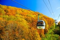 【長野県・栂池高原】リピーターを生み続ける「絶景の紅葉風景」がそこに！　北アルプスの秋に酔いしれる『中部山岳国立公園 栂池自然園』