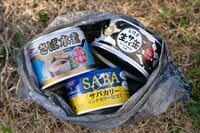 ＜ガリを加えると寿司風？＞混ぜるだけで作れる「サバ缶のアレンジ料理」【缶詰博士の缶たん”CAN”P料理 vol.60】