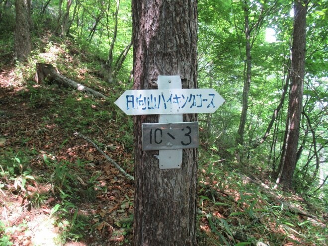 南アルプスの山の上で常夏気分！？  真っ白な砂浜が広がる「日向山」はまるで“天空のビーチ”【山梨県北杜市】の画像006