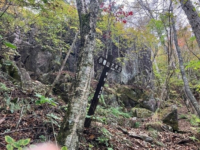 【首都圏近郊】1時間半で登頂できる山梨の隠れ名山「小楢山」紅葉の見頃はもうすぐ！の画像016