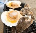 今週末は雪山で海の幸を堪能！「白馬乗鞍 冬の糸魚川シーフード祭り」開催の画像006