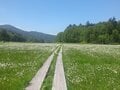 “まるっと楽しむ 尾瀬の山歩き” vol.3【新潟県 魚沼市】入山手段がドラマチック！  秘境へつなぐタイムトンネル「奥只見シルバーライン」を抜け、絶景湖上を走る「奥只見湖遊覧船」で行く尾瀬ルートの画像022