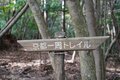 秋の京都は観光だけではもったいない！　紅葉と寺社と山をまるっと楽しむ！【2021年・秋】の画像001