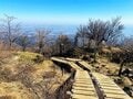 【神奈川県】丹沢大山から七沢温泉郷「登山プラス温泉」の天国コンボ！「ミシュラン2つ星の絶景」のあとの大山の天然水仕込み『AFURI総本店』「柚子塩らーめん」と地ビール！の画像004