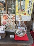 「梅が咲くなか、癌封じ」 菅原院天満宮神社へ！【関西おみくじジャーニーvol.31／京都市上京区】の画像005