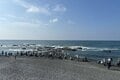 夏だ！ 海だ！ 湘南だ！ 青い海と青い空に舞う緑色のハトの群れ「荒波から危機一髪の脱出劇」 海水を飲むアオバトの珍しい行動に大注目！【神奈川県大磯】2025年の画像005