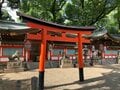 杭全神社の「杭全」はなんと読む！？  大クスノキが見守る神社の中心でカエルと「悪疫退散」を叫ぶ【関西おみくじジャーニー vol.14「杭全神社」／大阪市平野区】の画像009