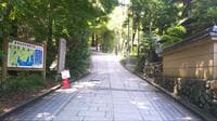 「7月の高尾山」見どころは「1号路のヤマユリ」！  白い大輪と甘い香りが彩る絶景＆歩きやすいメインルート「夏のお花見」ハイキング