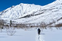 来たる春山シーズン！ 2024年「栂池ロープウェイ早春運行開始日程が決まる」 つがいけマウンテンリゾート 【長野県小谷村】