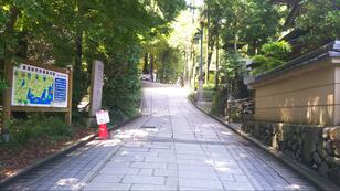 「7月の高尾山」見どころは「1号路のヤマユリ」！  白い大輪と甘い香りが彩る絶景＆歩きやすいメインルート「夏のお花見」ハイキング