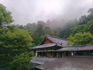 雨の日だけの絶景！ 霧けぶる幻想「鞍馬寺」独り占め登山＆人気パワースポット「京都・貴船神社」散策レポ