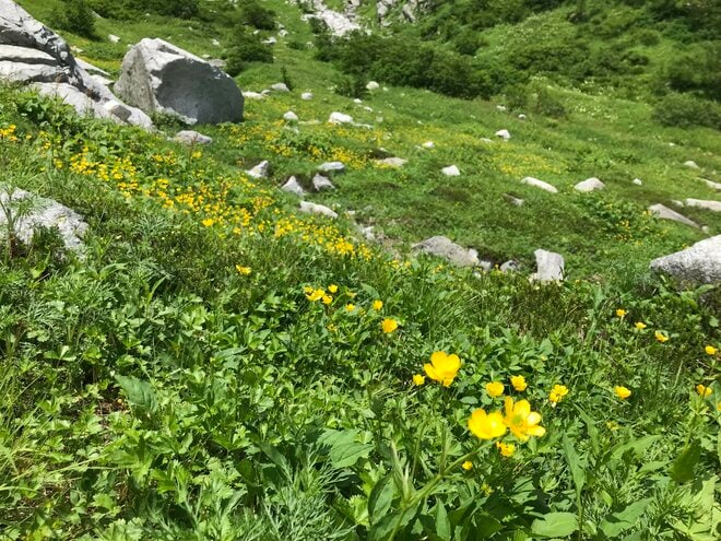 お出かけ前に「要チェック！」 中央アルプスエリアの「山小屋最新情報」の画像003