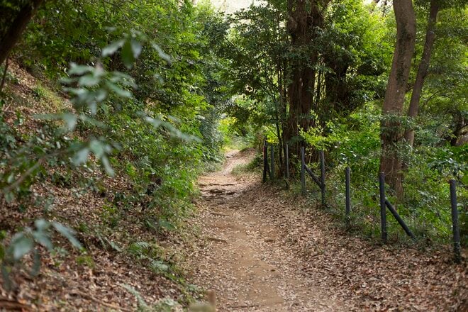 都市部で2時間「駅からハイキング」横浜市金沢区「大丸山」レポ！思わず嬉しくなる“街チカ”とは思えない、豊かな自然＆展望！の画像006