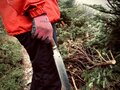 ”登山道整備”の素朴な疑問「誰が？ どのくらいの頻度で整えてるの？」【わたし、山小屋はじめます vol.12】の画像002