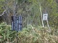 超人気！ 釣り人が多いのに放流なし！ 今も昔も変わらず“宝石のように耀く”天然イワナが水面を割る【渓流釣り】長野県・雑魚川の画像007
