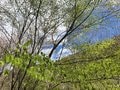 今年の梅雨はどうなる？ 活用するべき「意外な指標」【山の天気 vol.2】の画像001