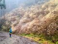 花咲くトレイルから春を感じよう！  空に舞う黄色のぼんぼり「ミツマタのトレイル」 群馬、滋賀、栃木・茨城のおすすめスポット【2024年】の画像004