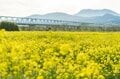 【ゴールデンウィーク直前】北信濃・春の絶景スポット4選！  「雪国にも遅い春がやってくる」千曲川の情緒あふれる花の景色 2022年・長野県の画像004