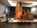 「新・日本三大夜景」に選ばれた福岡県・皿倉山「夜桜と100億ドルの夜景」驚異の眺望の画像010
