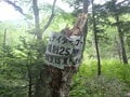 東大雪の名峰、石狩岳へ至る急登のシュナイダーコースへ【石狩岳】 2025年・北海道の画像006