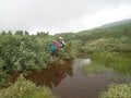 「北海道最長ルート」 大雪山・旭岳から十勝連峰・富良野岳までの縦走路の魅力！【踏破レポート】 北海道  2024年の画像005