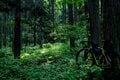 【自転車】気分はヨーロッパ！？  しなの鉄道の「サイクルトレイン」を利用して訪れる “野尻湖・北信濃里山グラベルライド” 「天国と地獄が入り乱れるトレイルの先に、想像以上の絶景が！」 新潟県・長野県｜2026年の画像015