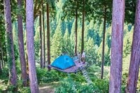 【日本でここだけ】森の中に浮く神秘体験「空中テント」に泊まってみた【絶景キャンプ場ガイド-言葉を失うほどの風景に会いに行こう- vol.35】