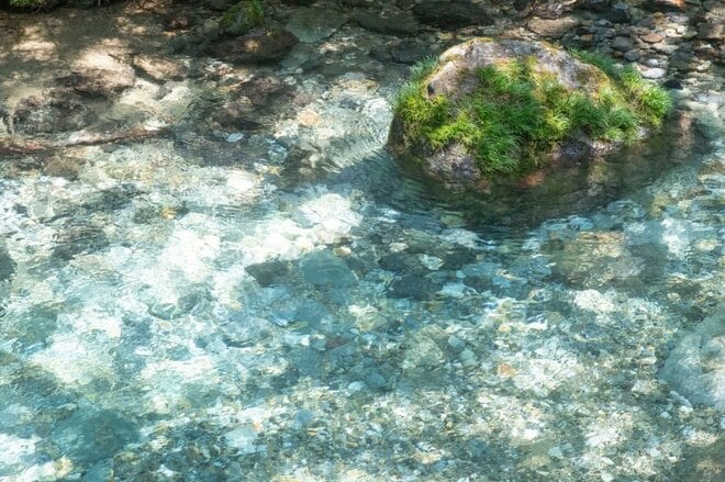 「理想のサウナ郷、ついに待望のオープン目前」 プレオープン期間の1年を振り返る＜春・夏編＞【ユーコンカワイのシン・サウナ村建設記 vol.12】の画像004