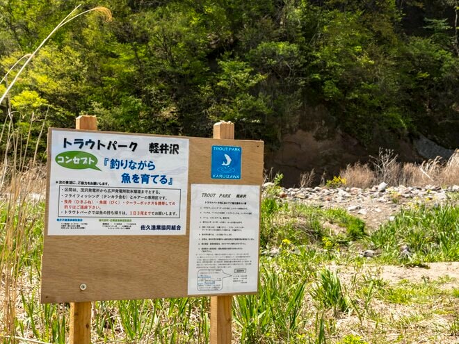 画像 写真 渓流釣り 黄色い妖精が飛び交う新緑の川辺でフライフィッシング 釣れるのはヤマメかイワナか トラウトパーク軽井沢 22年 合計8枚 アクティビティ レポート Bravo Mountain