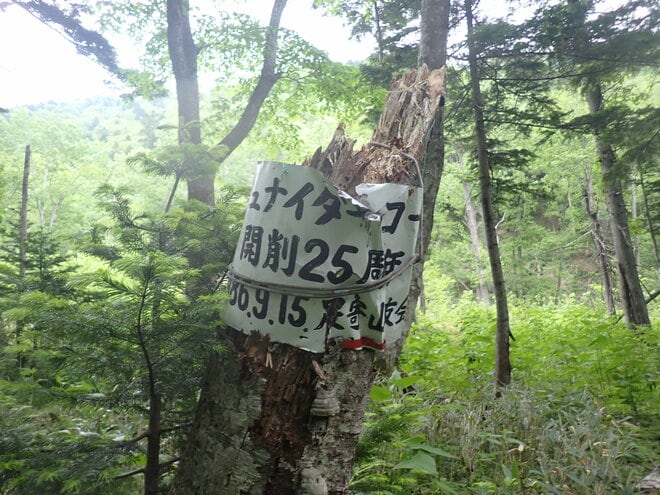 東大雪の名峰、石狩岳へ至る急登のシュナイダーコースへ【石狩岳】 2025年・北海道の画像006