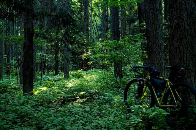 【自転車】気分はヨーロッパ！？  しなの鉄道の「サイクルトレイン」を利用して訪れる “野尻湖・北信濃里山グラベルライド” 「天国と地獄が入り乱れるトレイルの先に、想像以上の絶景が！」 新潟県・長野県｜2026年の画像015