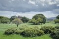 素っ気なさと歴史のコントラストが心地いい世界遺産！  1300年の古都「平城宮跡」自転車で走ってみた！  なんと中には線路も通っていて…【ゆる6輪の旅 vol.02 奈良「平城宮跡歴史公園」】の画像001