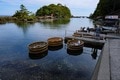 国内で見られるのは2か所だけ！  佐渡島「トビシマカンゾウ」大群落＆「世界遺産」目指す名所とは？  1泊2日「大野亀ツーリング」レポの画像006
