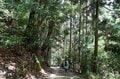 「京都」知る人ぞ知る「アジサイの名刹」約27種・5,000株に彩られる境内は絶景！  天王山「柳谷観音 楊谷寺」低山ハイキングの画像009