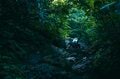 【登山】 “夏と秋、雨と晴れの狭間で揺れ動く景色” ワンチャンあるか！？ 「浅草岳」へ　新潟県魚沼市｜2026年の画像006