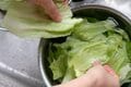 「キャンプでも野菜を摂ろう」シャキシャキのレタスが決め手！  BBQのおともに最適な＜グリーンベジサンド＞の作り方【季節の外ごはん vol.45】の画像003