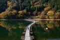 【今年の紅葉は「ここ数年で一番」の当たり年！】＜東京都の最深部へのおすすめドライブコース＞奥多摩エリアの紅葉は「今がピーク」の画像001