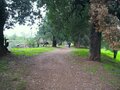 イタリア在住ライターがこっそり教えるローマ近郊の穴場散策スポット【ブーツの国の街角で vol.22「アーバン・トレッキング in ローマ2〜テヌータ・ディ・トールマランチャ〜」イタリア／ラツィオ州】の画像004