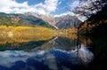 【富士山の次に登る山 vol.2】登山の魅力はムゲン大「美林を楽しむ山歩き」 上高地・甲武信岳・北八ヶ岳の画像002