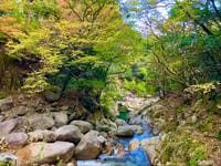秋を彩る鮮やかな紅葉で人気！  シーズン中は20万人が訪れる「御在所岳」 裏登山道コースで往復「11月上旬・登山レポ」