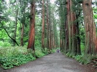 女性や子どもの守り神も！「岩戸伝説」が伝わる強力パワースポット、創建2000年を超える戸隠神社の5社を掘り下げる！