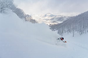 【斑尾高原 パウダー攻略ガイド】極楽パウダースノー「マダパウ」・ツリーラン・地形のトリオで極上体験！